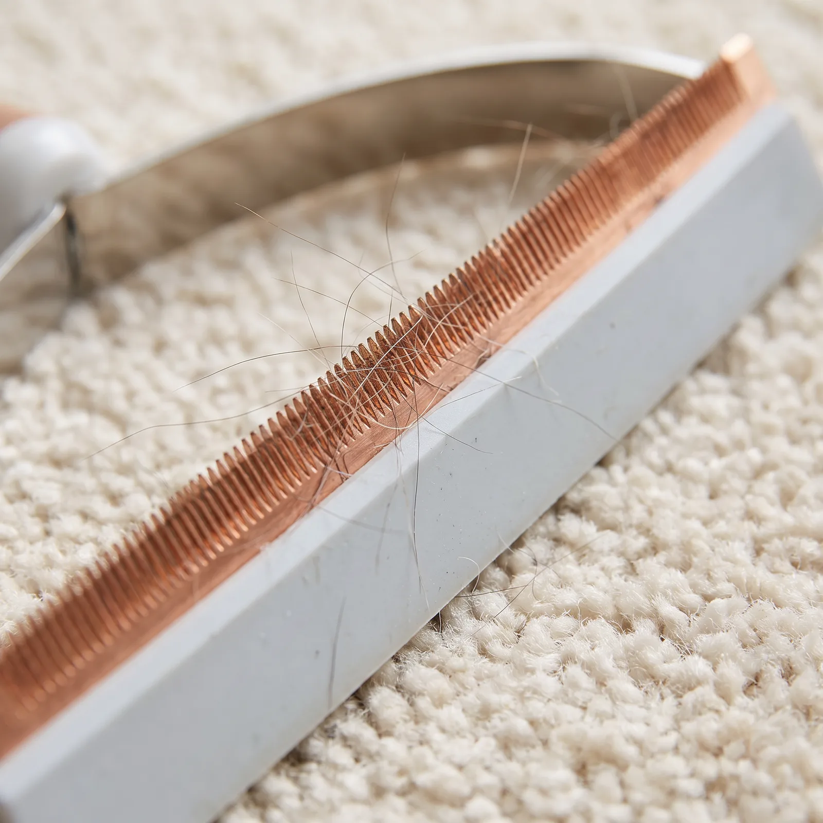 Close-up of the copper cutter strip and rubber lip