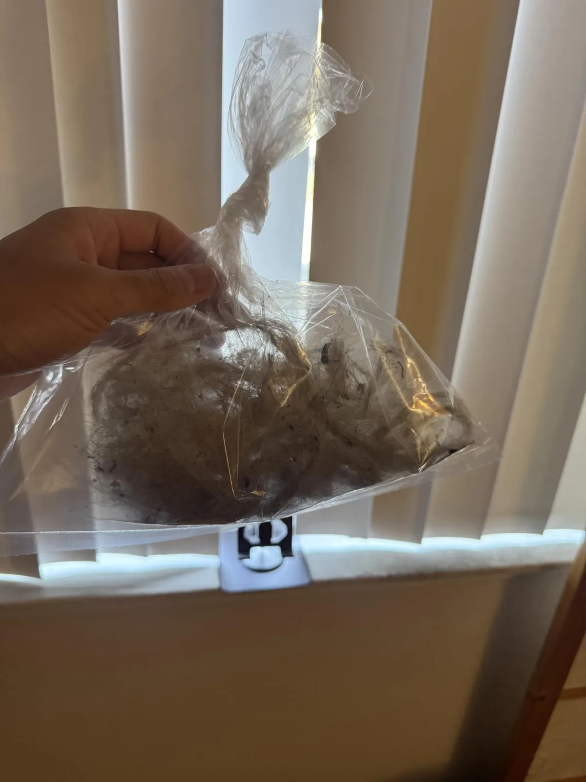 Customer photo