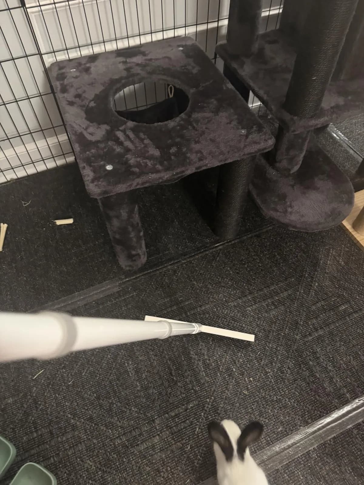 Customer photo